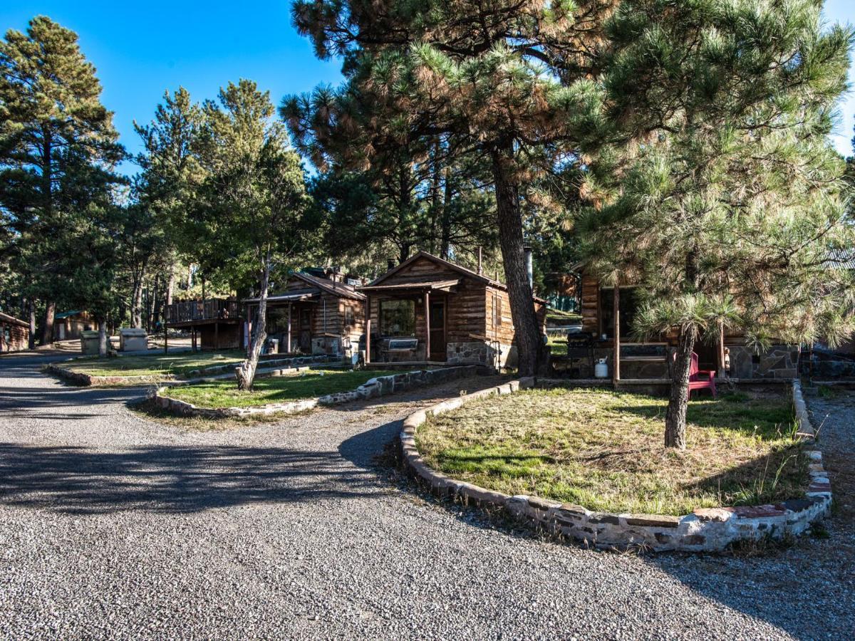 Alpine Cabin, 3 Bedrooms, Deck, Sleeps 8 鲁伊多索 外观 照片